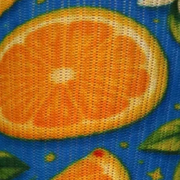 Citrus Slices - (Standard & Extra Wide)