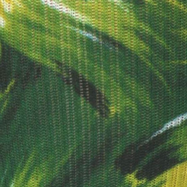 Green Envy - (Standard & Extra Wide)