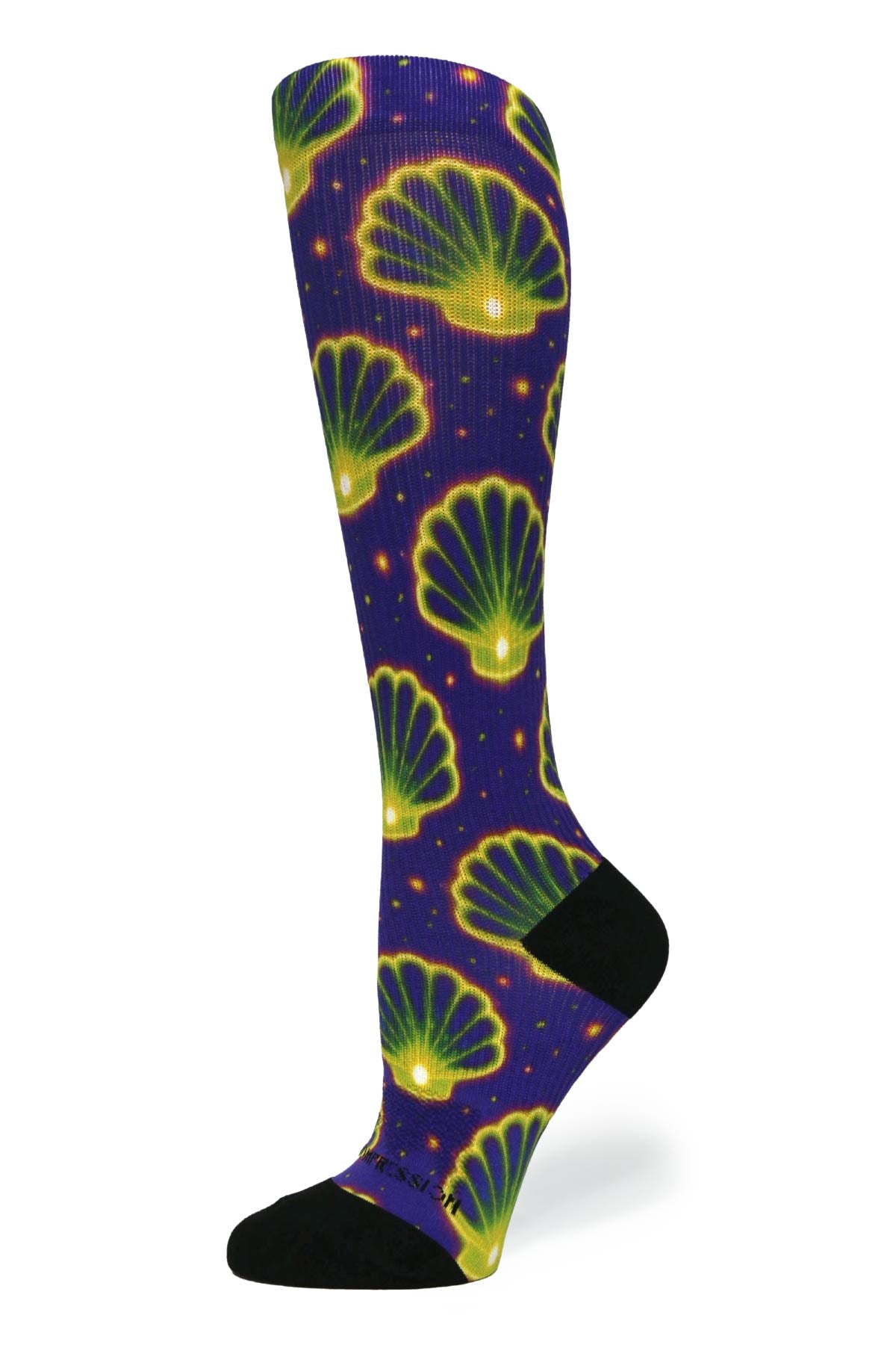 Seashells - (Standard & Extra Wide)