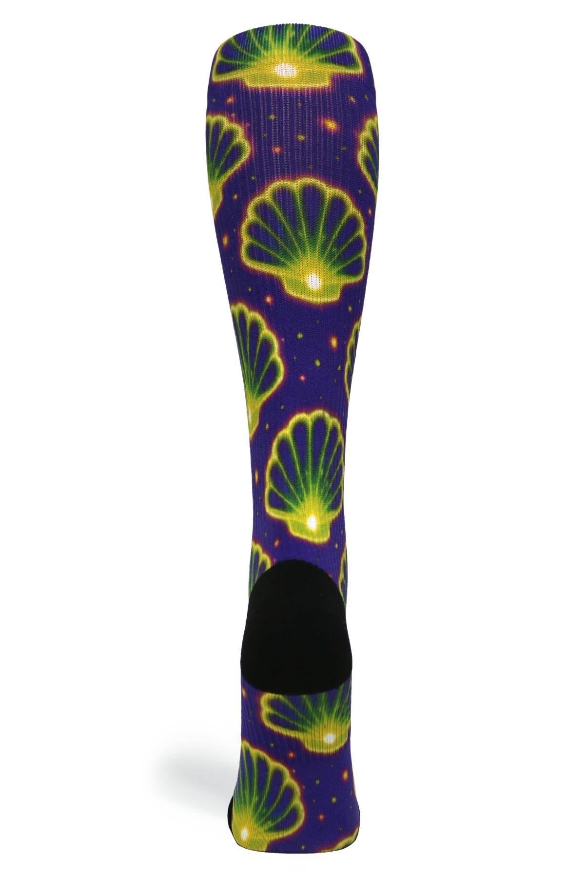 Seashells - (Standard & Extra Wide)