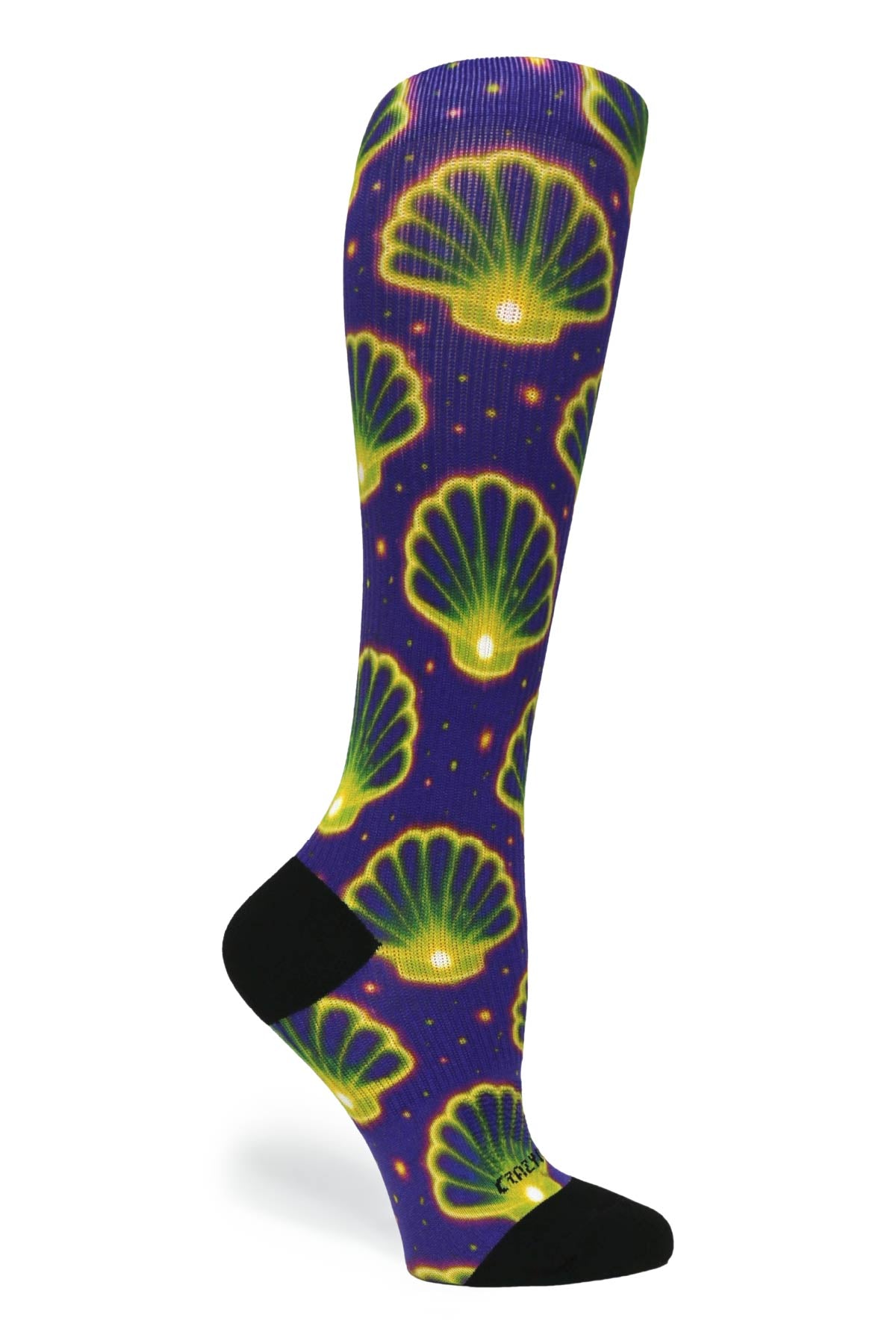 Seashells - (Standard & Extra Wide)