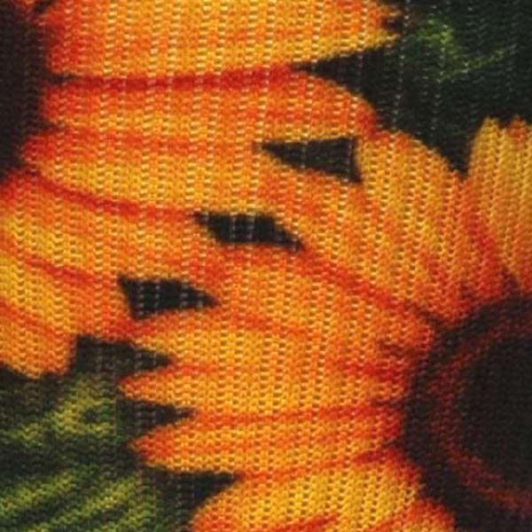 Sunflowers Sunning - (Standard & Extra Wide)